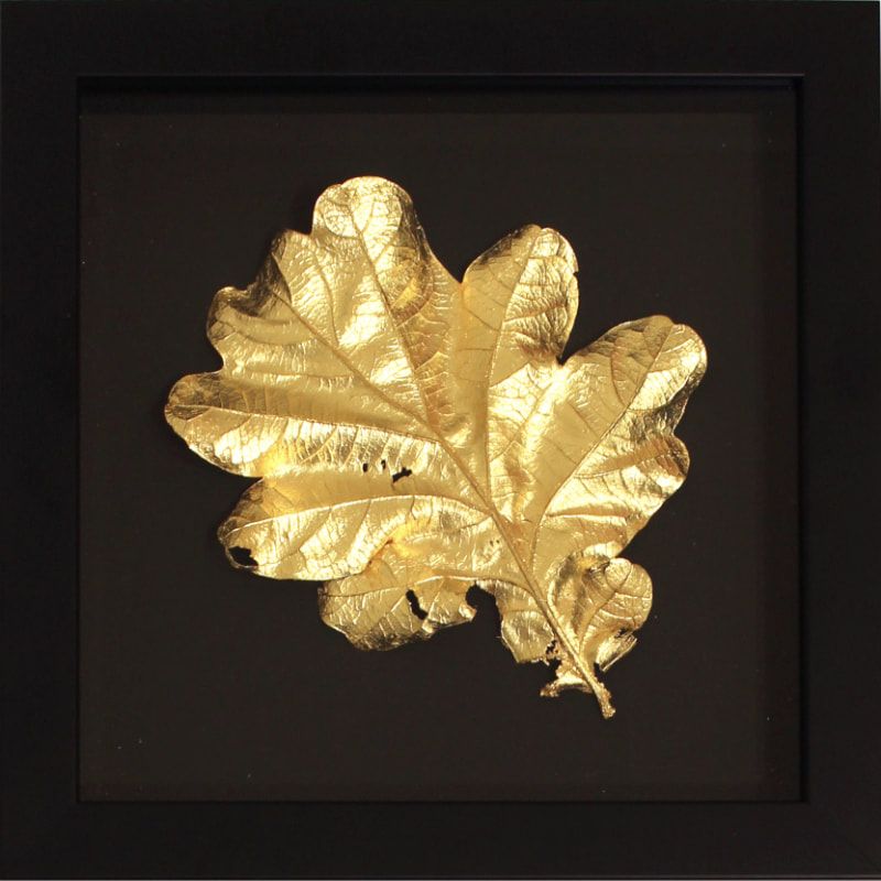 Rachel Murphy Oak Leaf - Large Hand Pressed 24ct Gold Wall Sculpture, framed 230 x 230mm