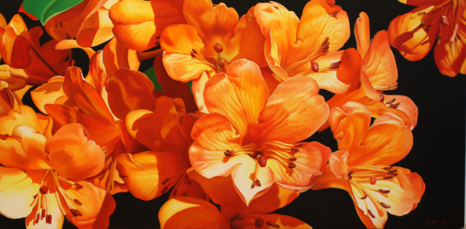 Amber Emm, "Orange Veraya", Oil on Canvas, 1200 x 600mm, Floral Painting