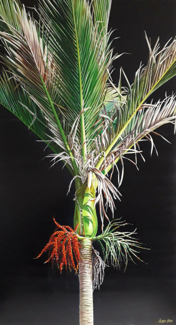 Amber Emm, "Red Native", Oil on Linen, 1530 x 830mm, 2011, SOLD