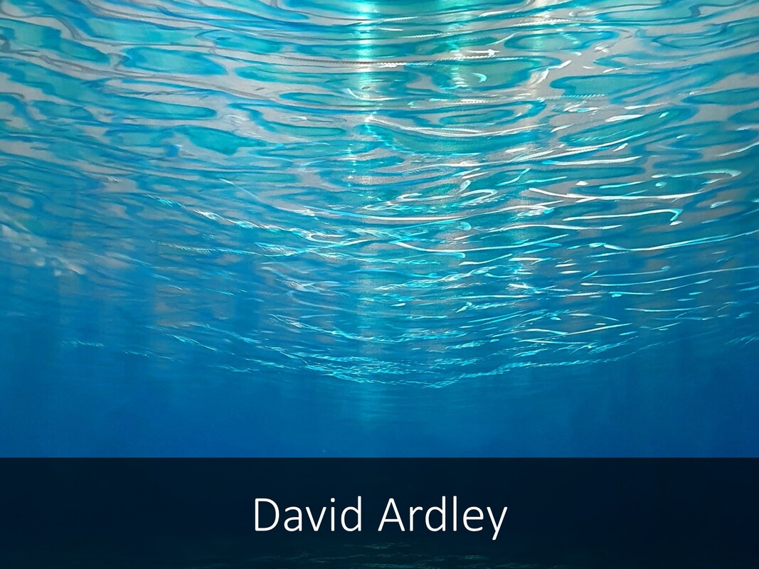 David Ardley Paintings Available at Black Door Gallery | Buy New Zealand ArtPicture