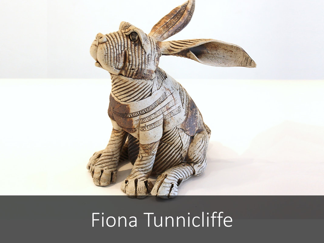 View and Purchase works by Fiona Tunnicliffe