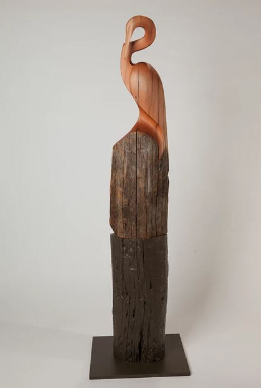 Robbie Nairn- "Kahu / Swamp Harrier", Spalted Tawa Driftwood, 
2300 x 900 x 500mm, Freestanding Sculpture