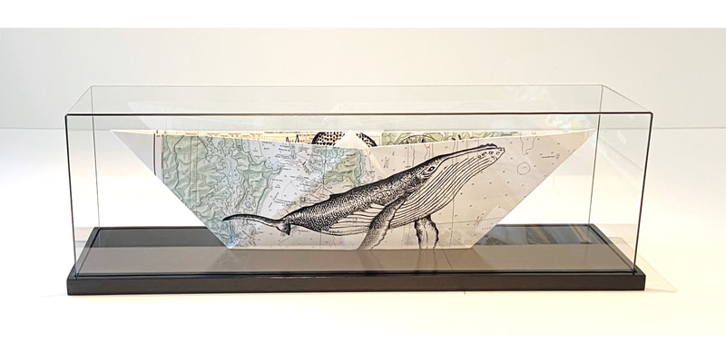 Philippa Bentley, "Bean Rock and Whale", Screenprint on chart in glass display case, 180 x 600 x 140mm, 2020