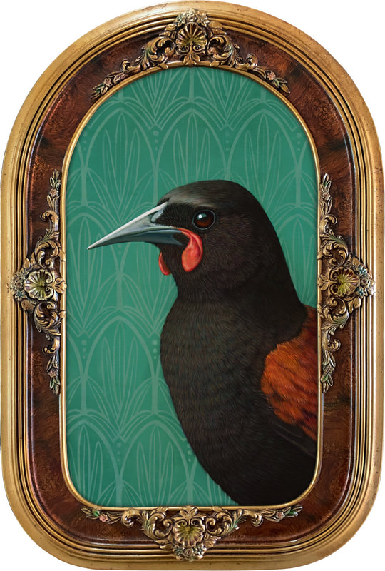 Rieko Woodford-Robinson, "Tīeke (Saddleback)", Oil on Canvas, Antique Frame, Artwork Size: 49 x 29cm, 2022, SOLD